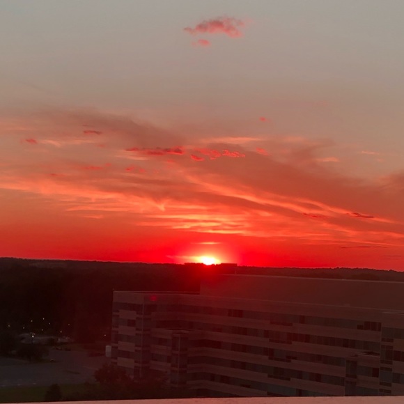 Currently only buying, not selling - Picture 2 of 3